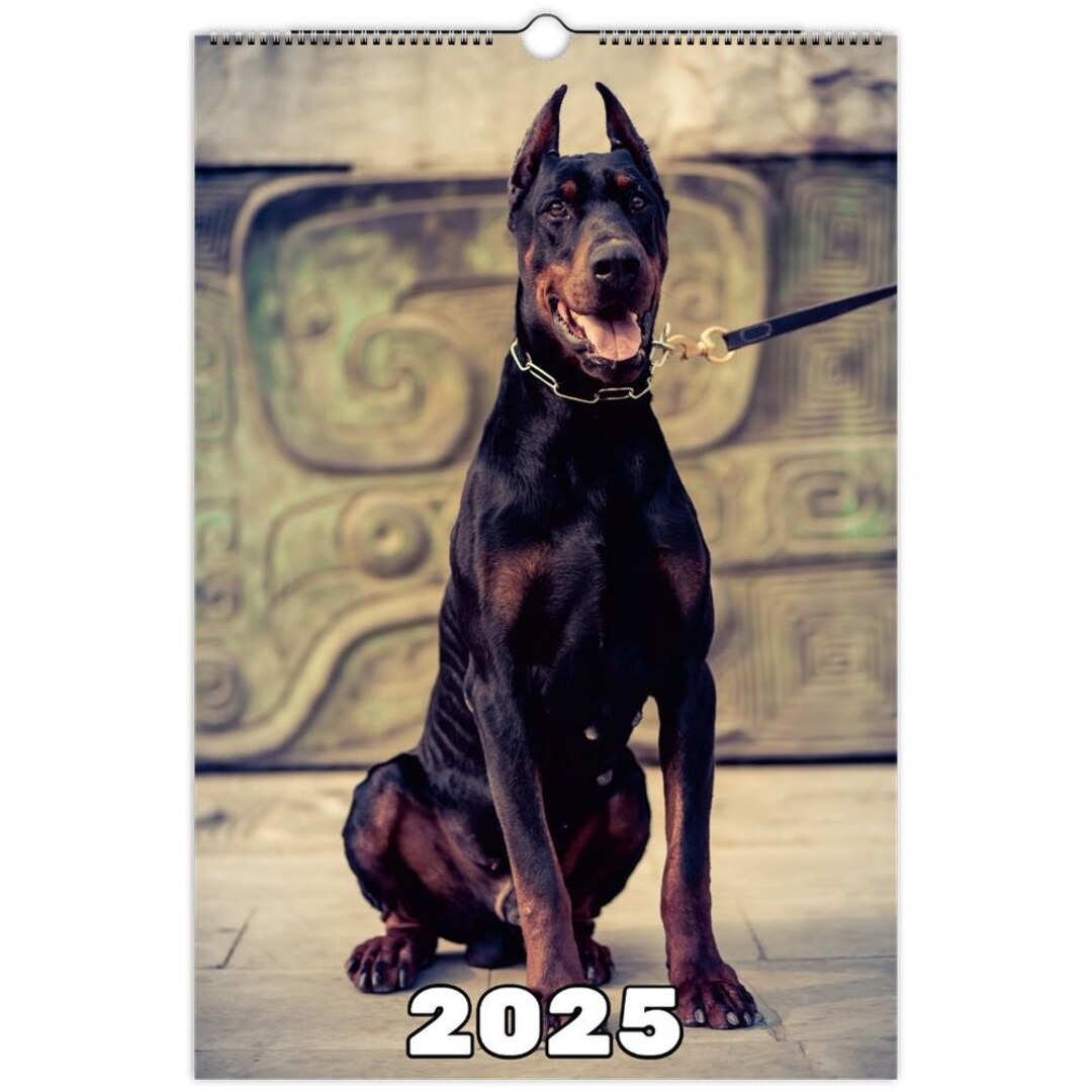 Doberman Pinscher Wall Calendar 2025 Etsy Doberman Pinscher Wall Calendar 2025 Etsy