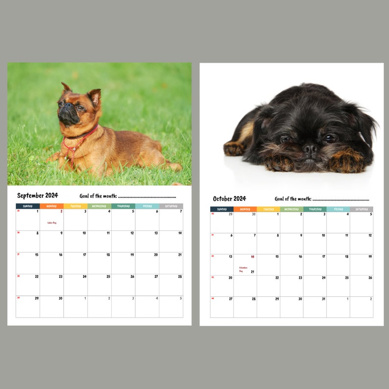 Brussels Griffon Calendar 2024 Etsy