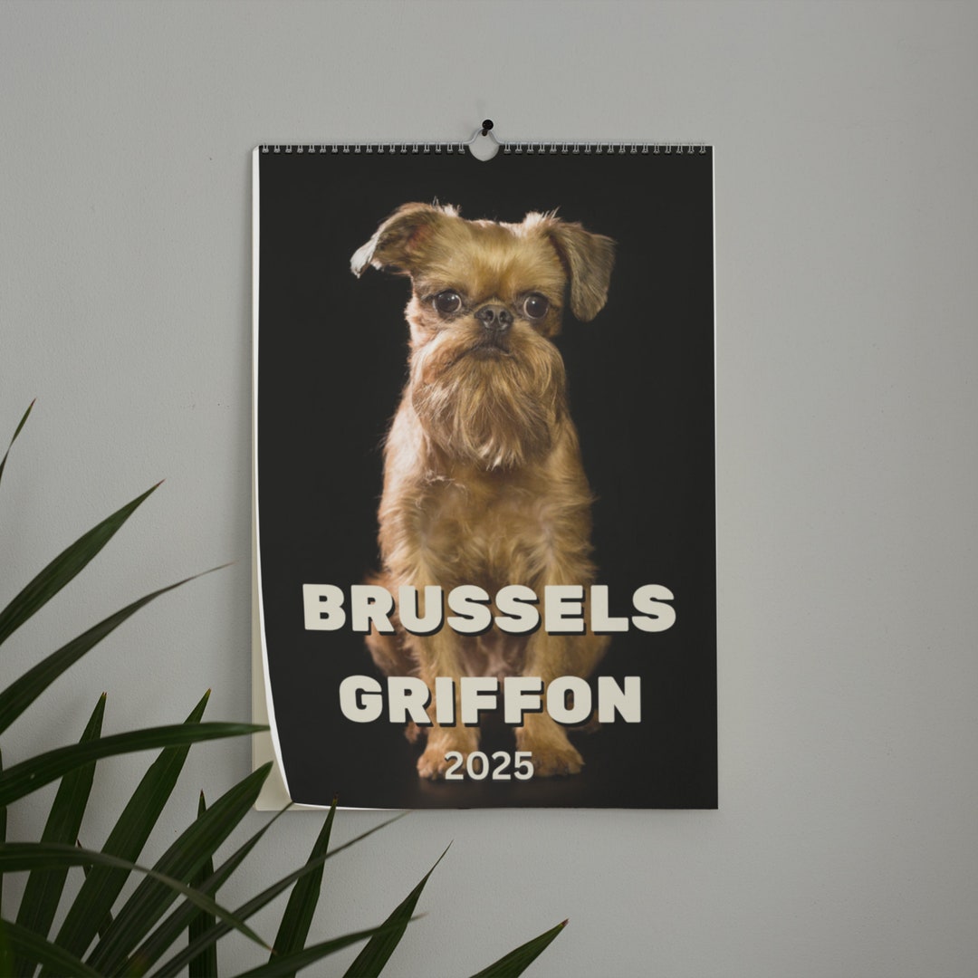 Brussels Griffon Wall Calendar 2025 Etsy