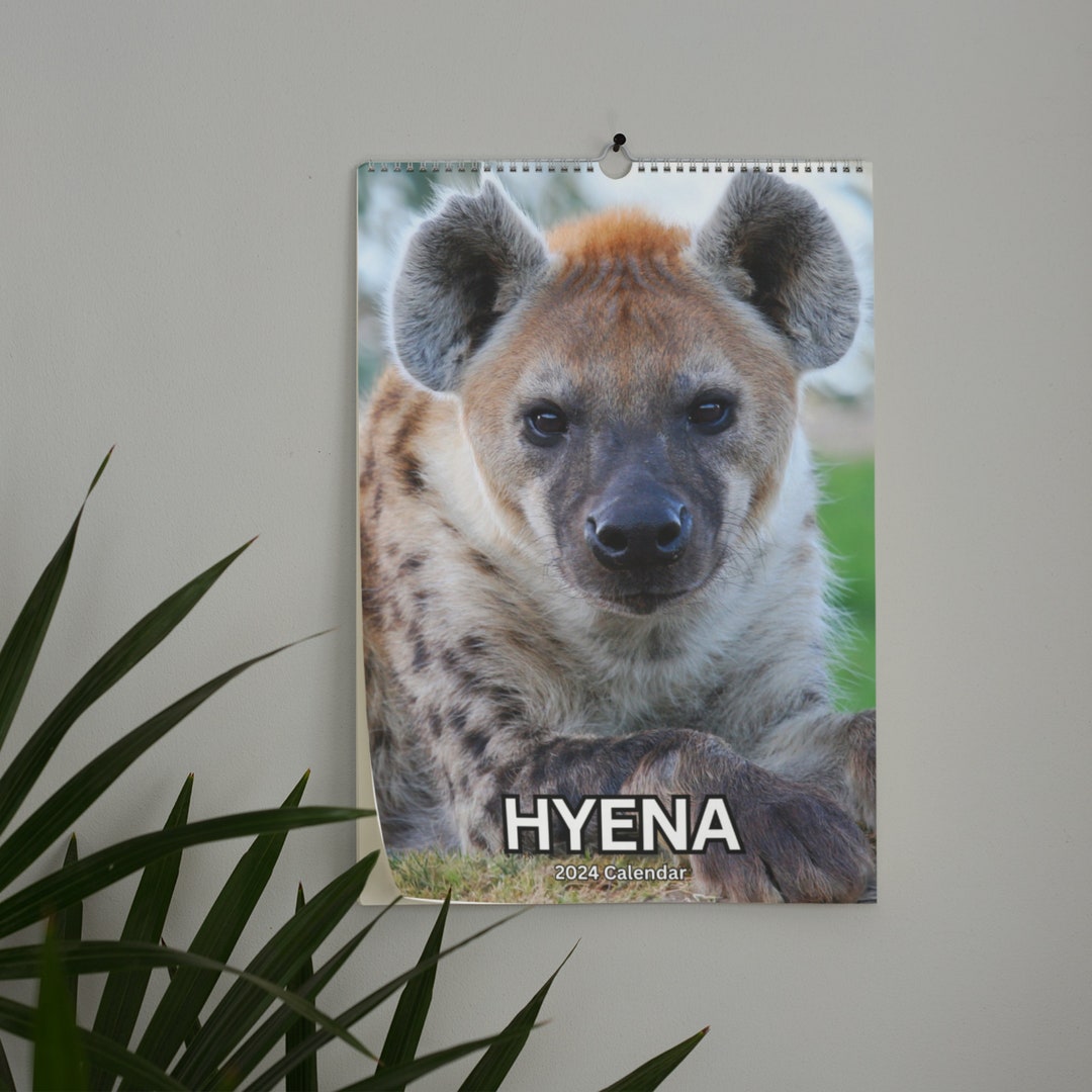 Hyena Wall Calendar 2025 Etsy