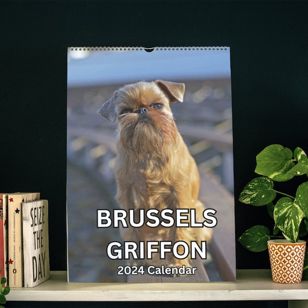 Brussels Griffon Calendar 2024