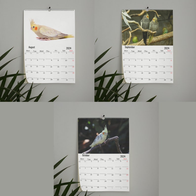 Cockatiels Wall Calendar 2024 Etsy