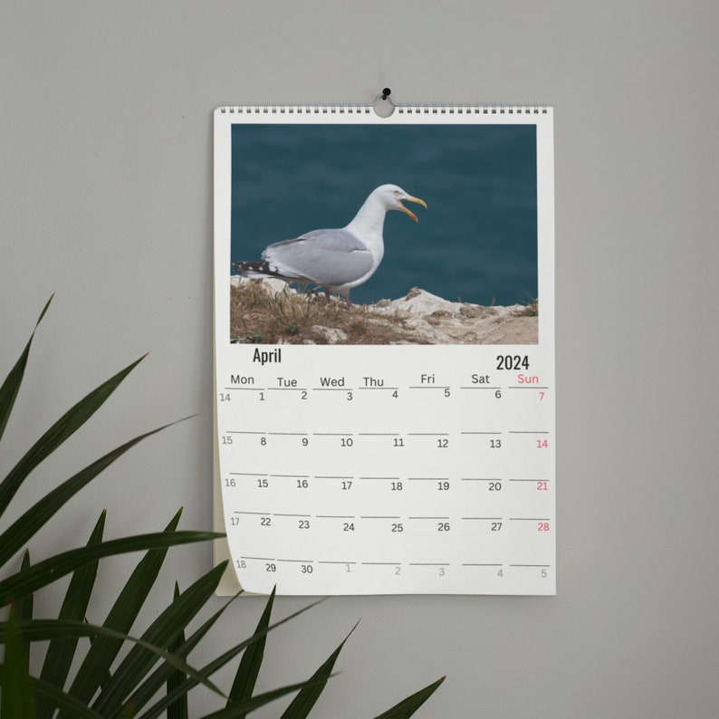 Seagull Wall Calendar 2024 Etsy