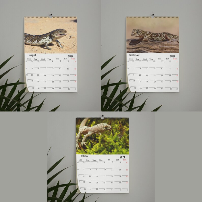 Gecko Wall Calendar 2025 Etsy