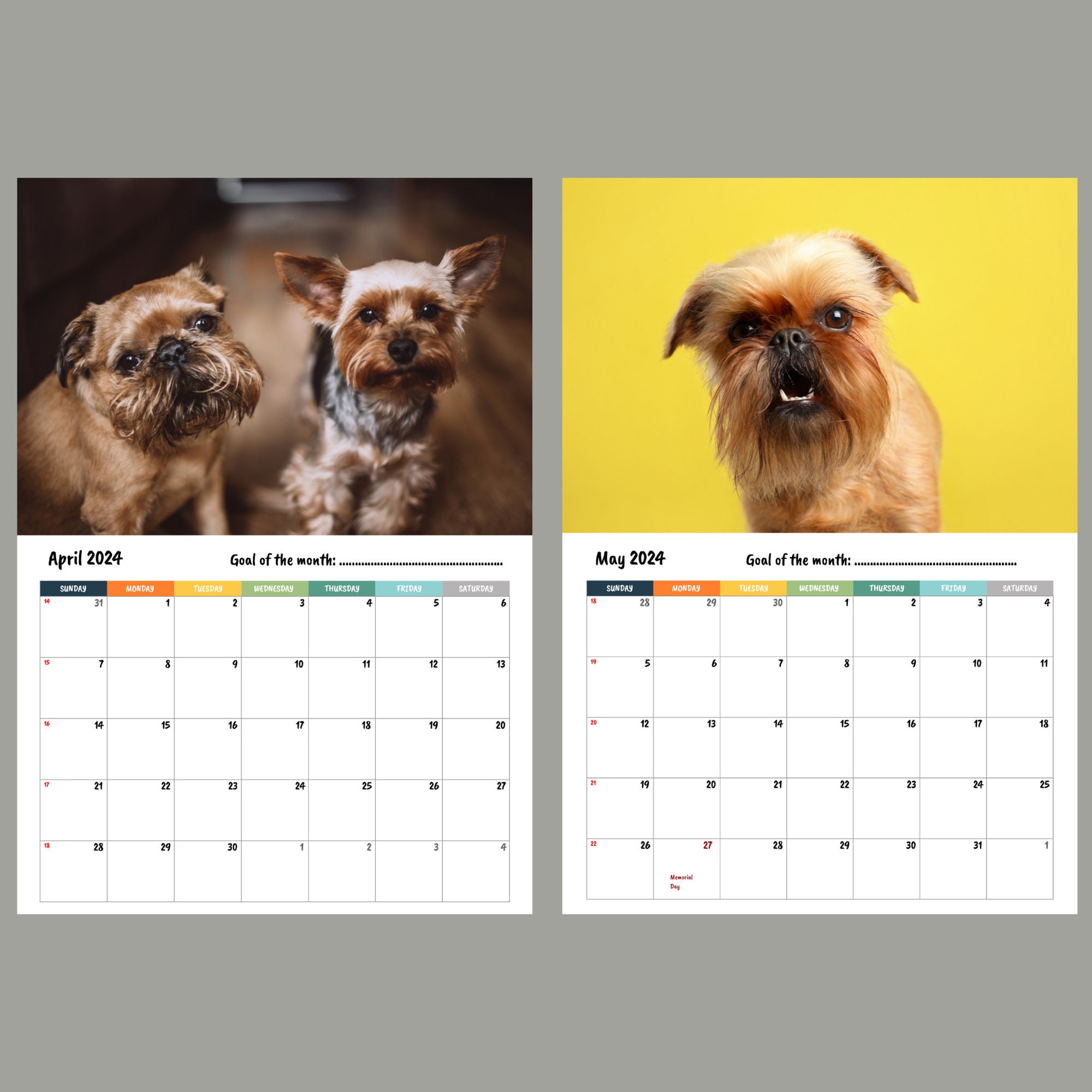 Brussels Griffon Calendar 2024 Etsy