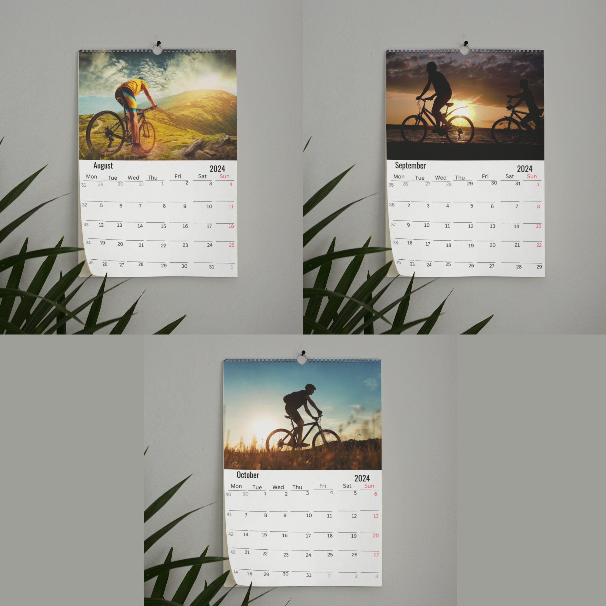 Cycling Wall Calendar 2025 Etsy