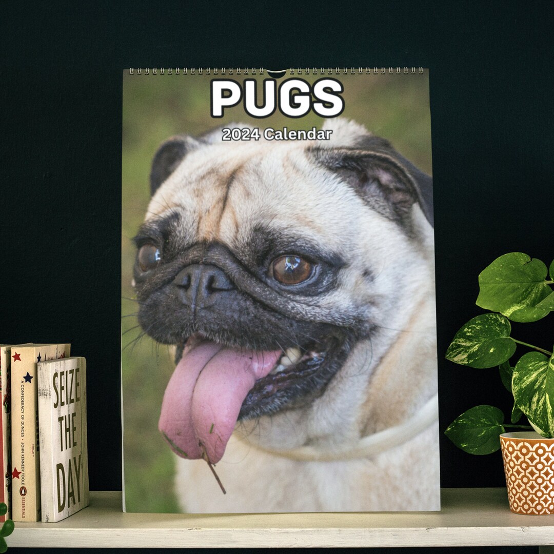Pugs Wall Calendar 2024 Etsy