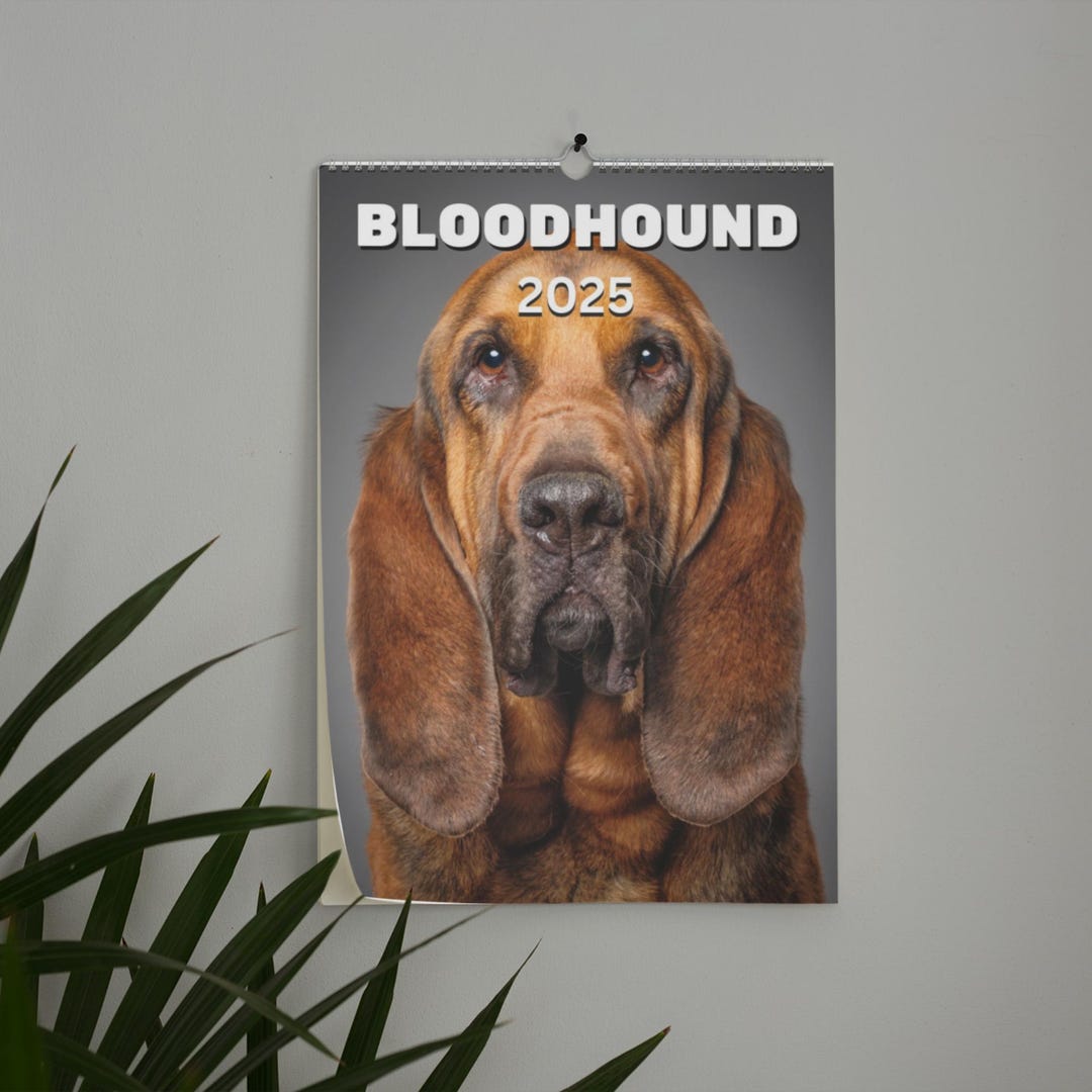 Bloodhound Wall Calendar 2025 Etsy