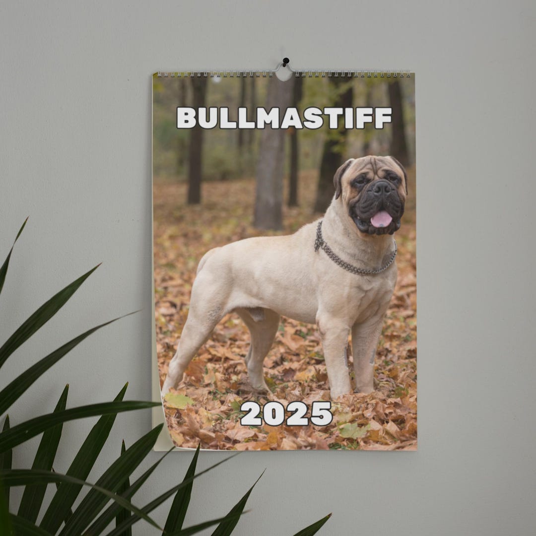Bullmastiff Wall Calendar 2025 Etsy