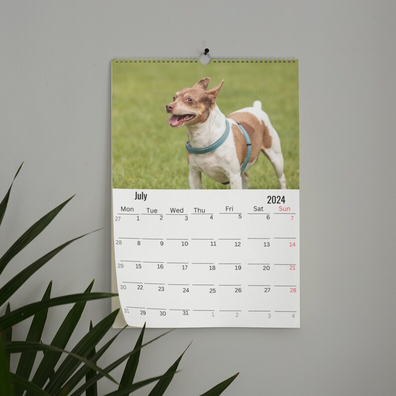 Rat Terrier Wall Calendar 2024 Etsy