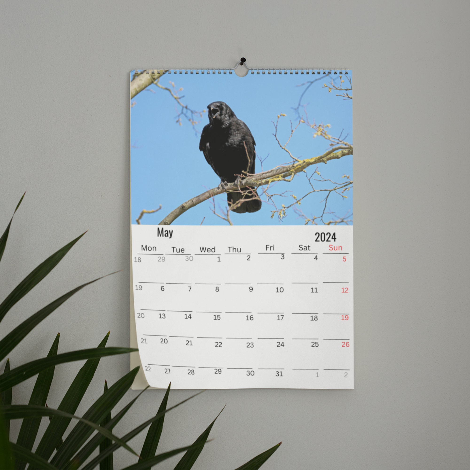 Crows Wall Calendar 2024 Etsy