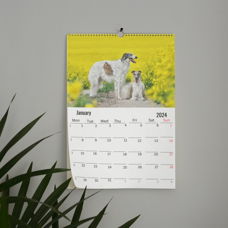 Borzoi Wall Calendar 2024 - Etsy Borzoi Wall Calendar 2024 - Etsy