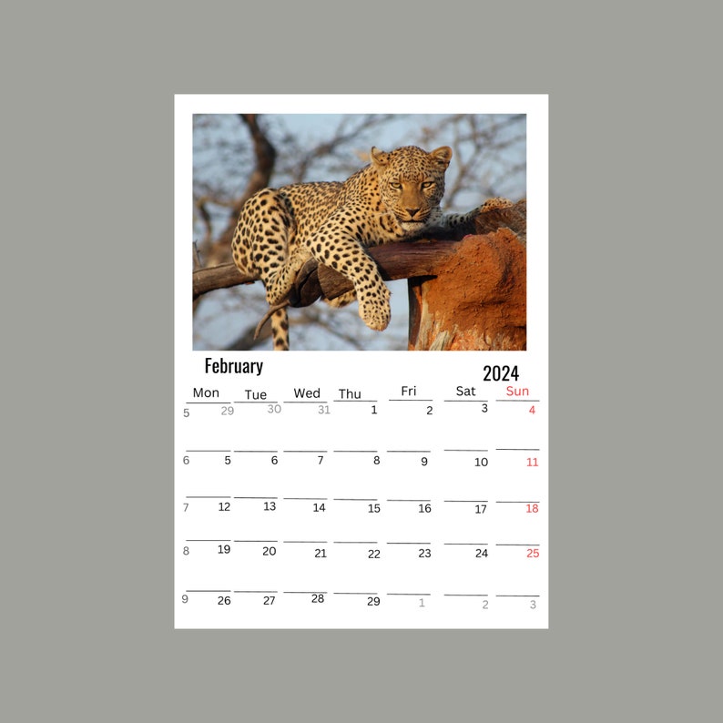 Cheetah Wall Calendar 2024 Etsy