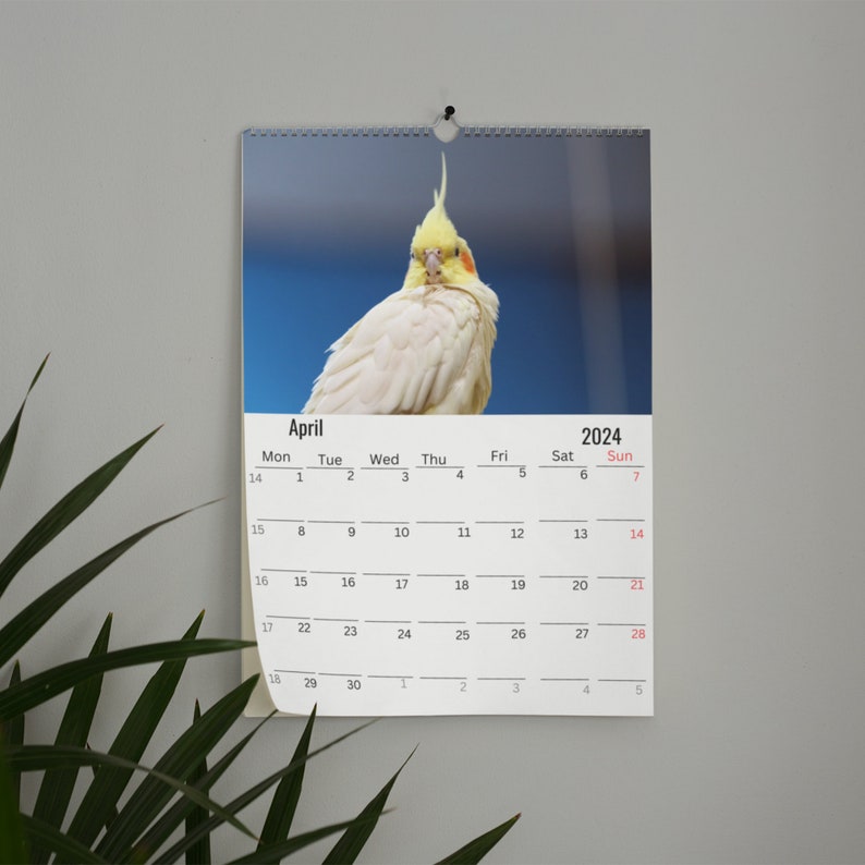 Cockatiels Wall Calendar 2024 Etsy