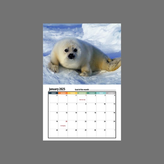 Seal Wall Calendar 2025 - Etsy
