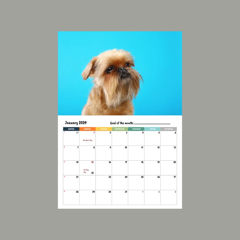 Brussels Griffon Calendar 2024 Etsy