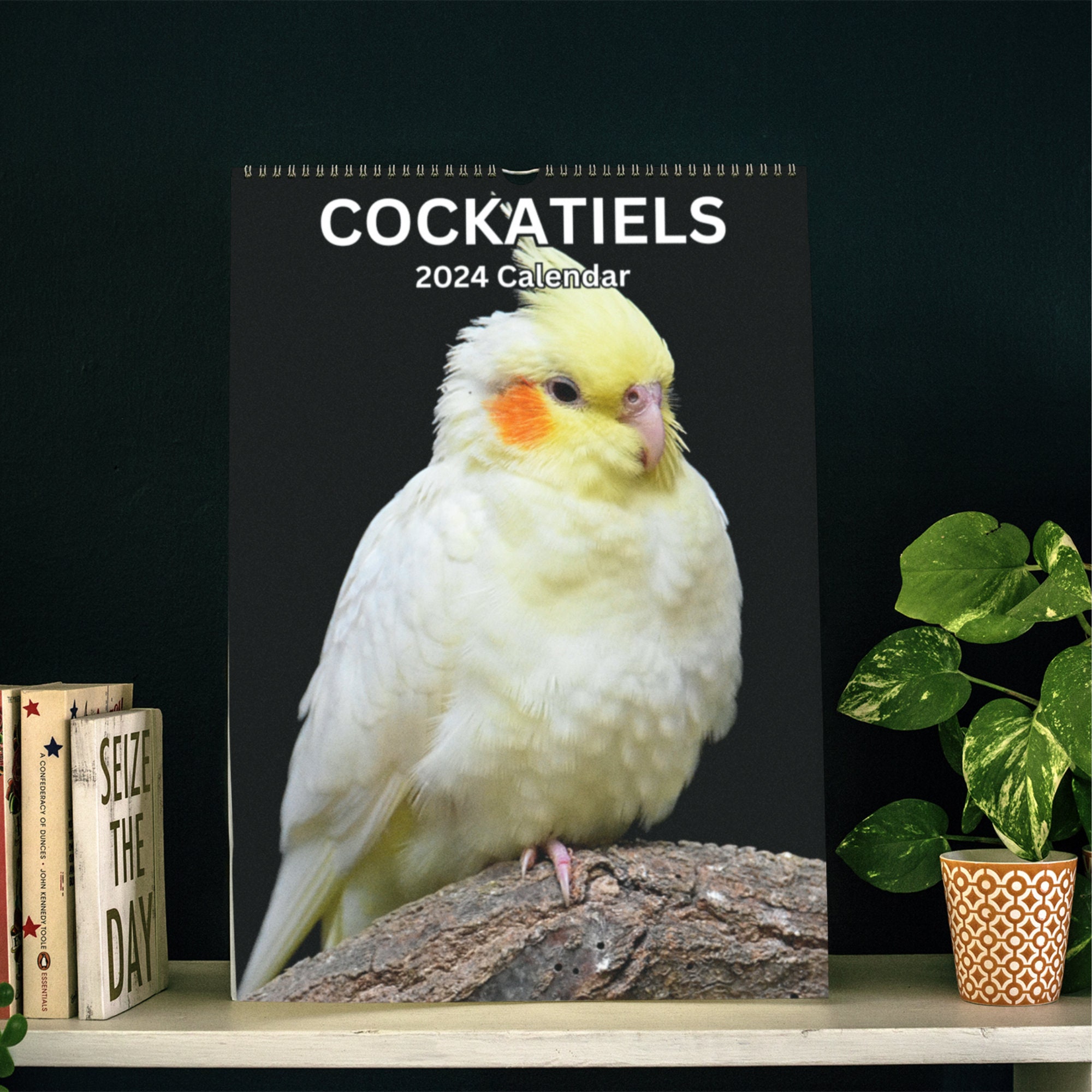 Cockatiels Wall Calendar 2024 Etsy