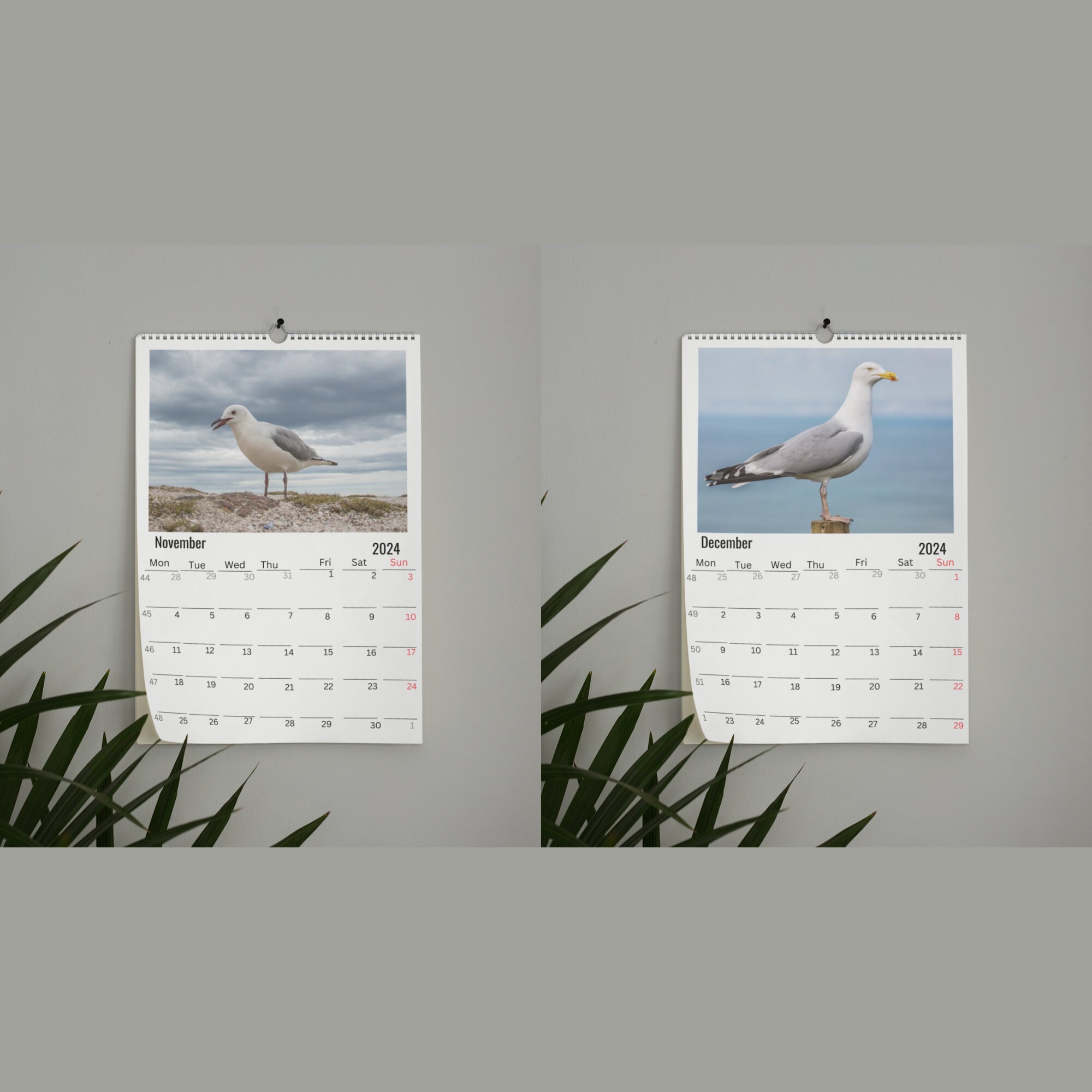 Seagull Wall Calendar 2024 Etsy