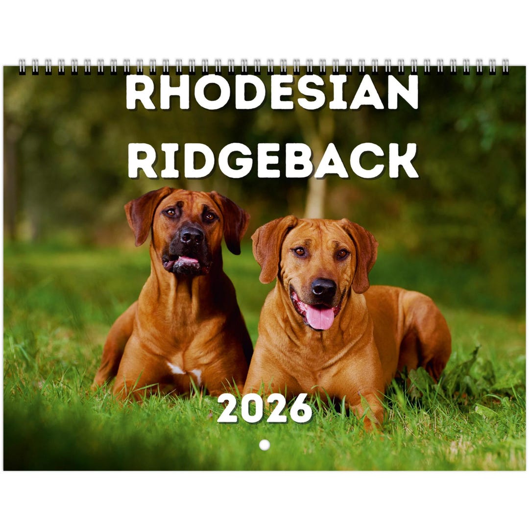 Rhodesian Ridgeback Wall Calendar 2026 Etsy Il Ka6v 