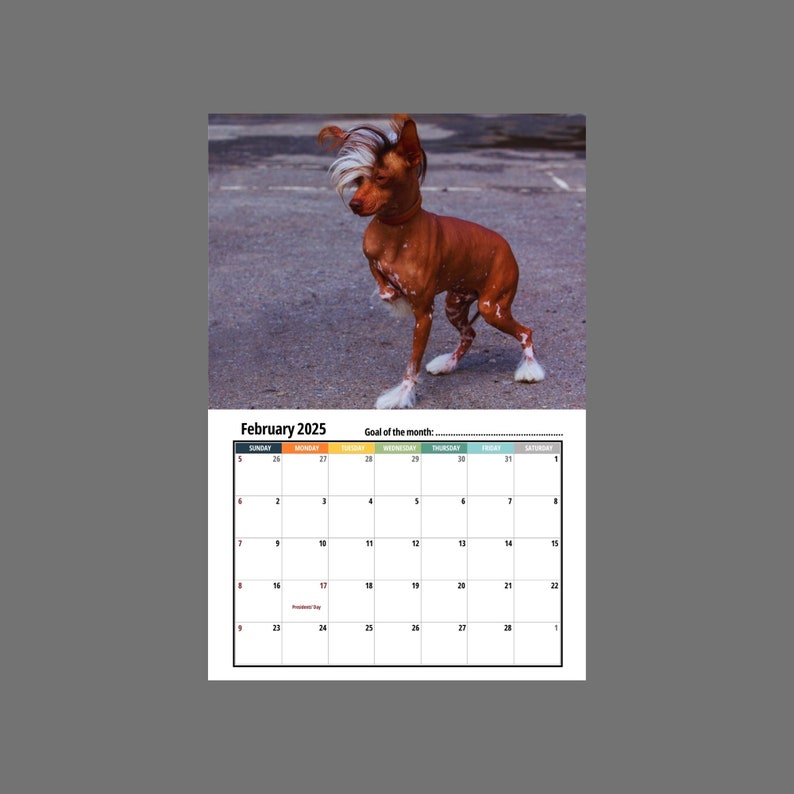 Chinese Crested Wall Calendar 2025 Etsy