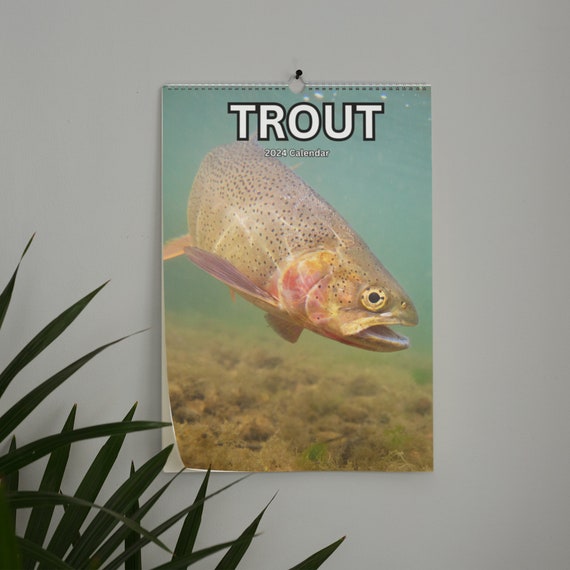 Trout Wall Calendar 2024 