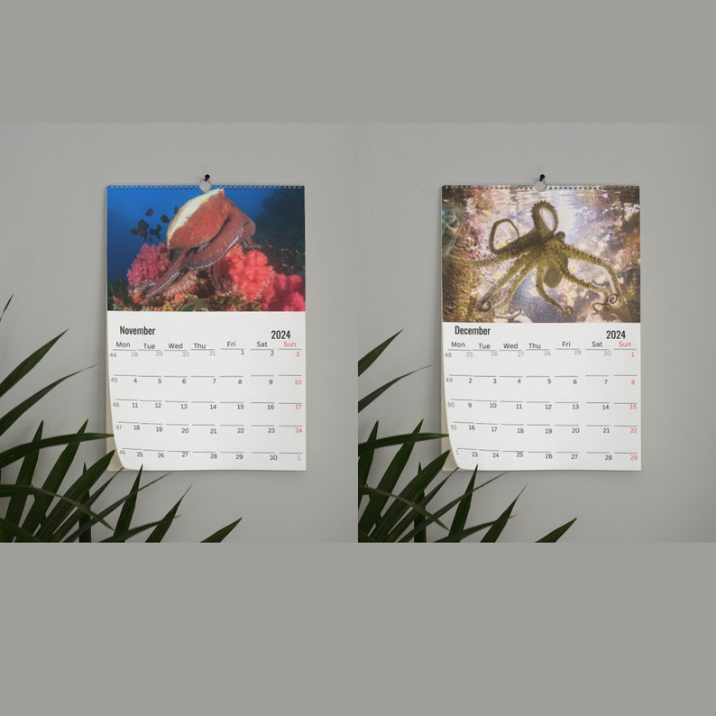 Octopus Calendar 2024 Etsy