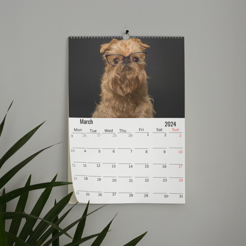Brussels Griffon Calendar 2024 Etsy
