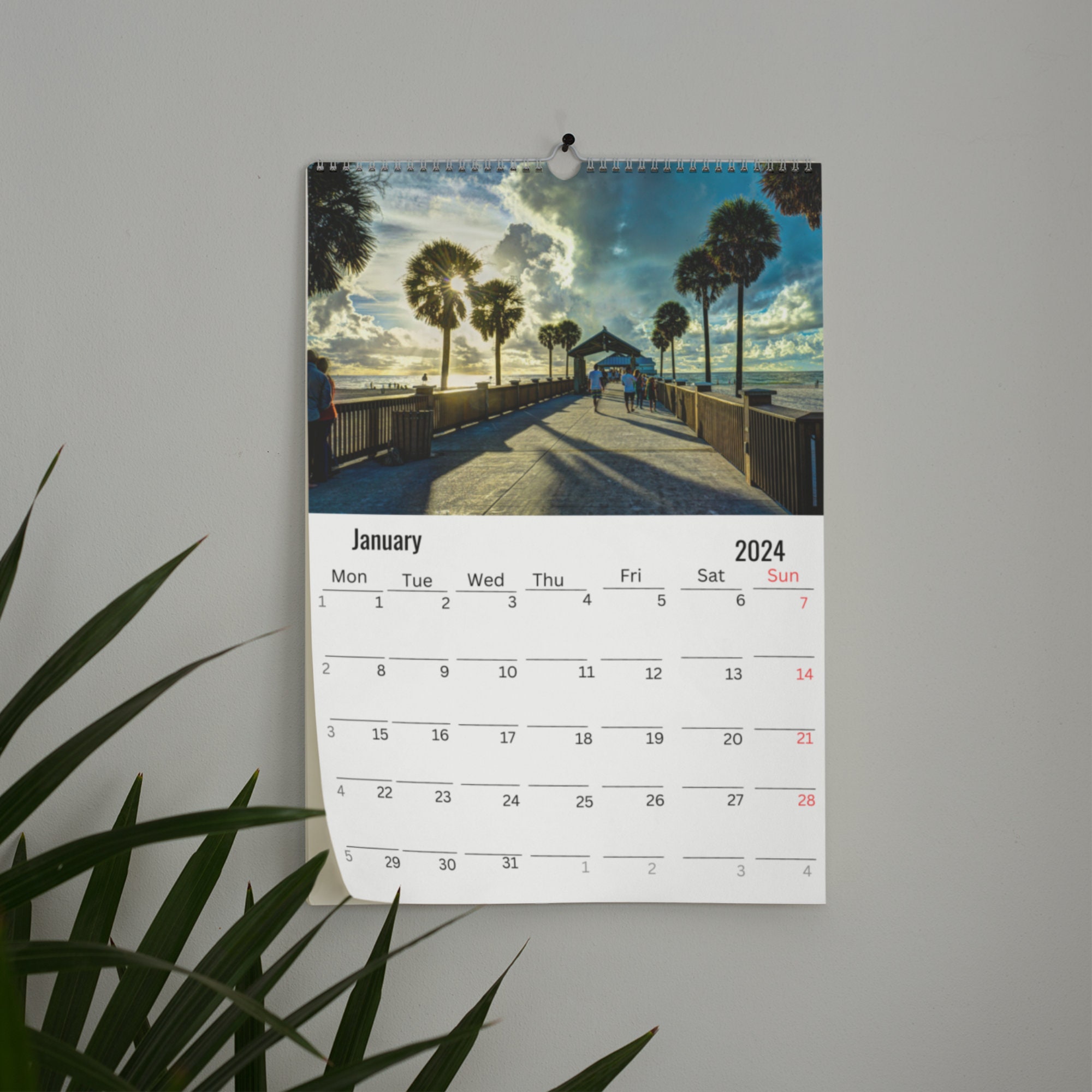 Florida Wall Calendar 2024 Etsy