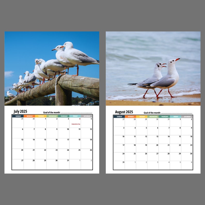 Seagull Wall Calendar 2025 Etsy