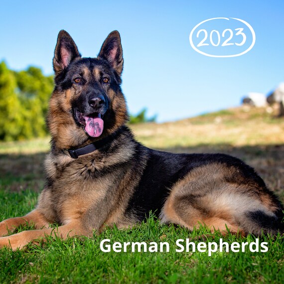 German Shepherds Desk Calendar 2023 Etsy