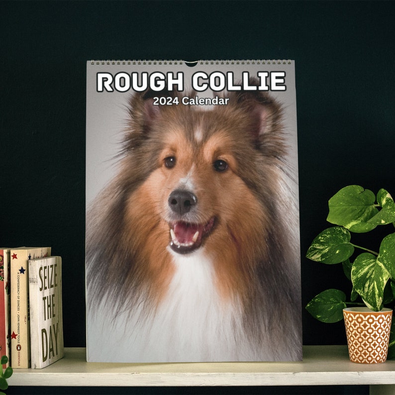 Rough Collie Wall Calendar 2024 Etsy UK