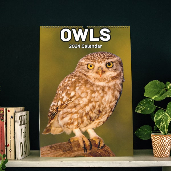 2024 Owl Calendar Etsy