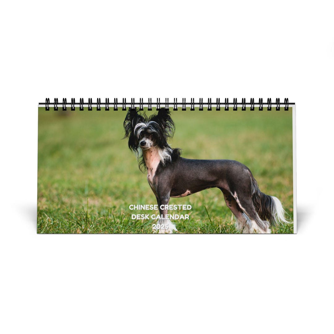 Chinese Crested Desktop Calendar 2025 Etsy