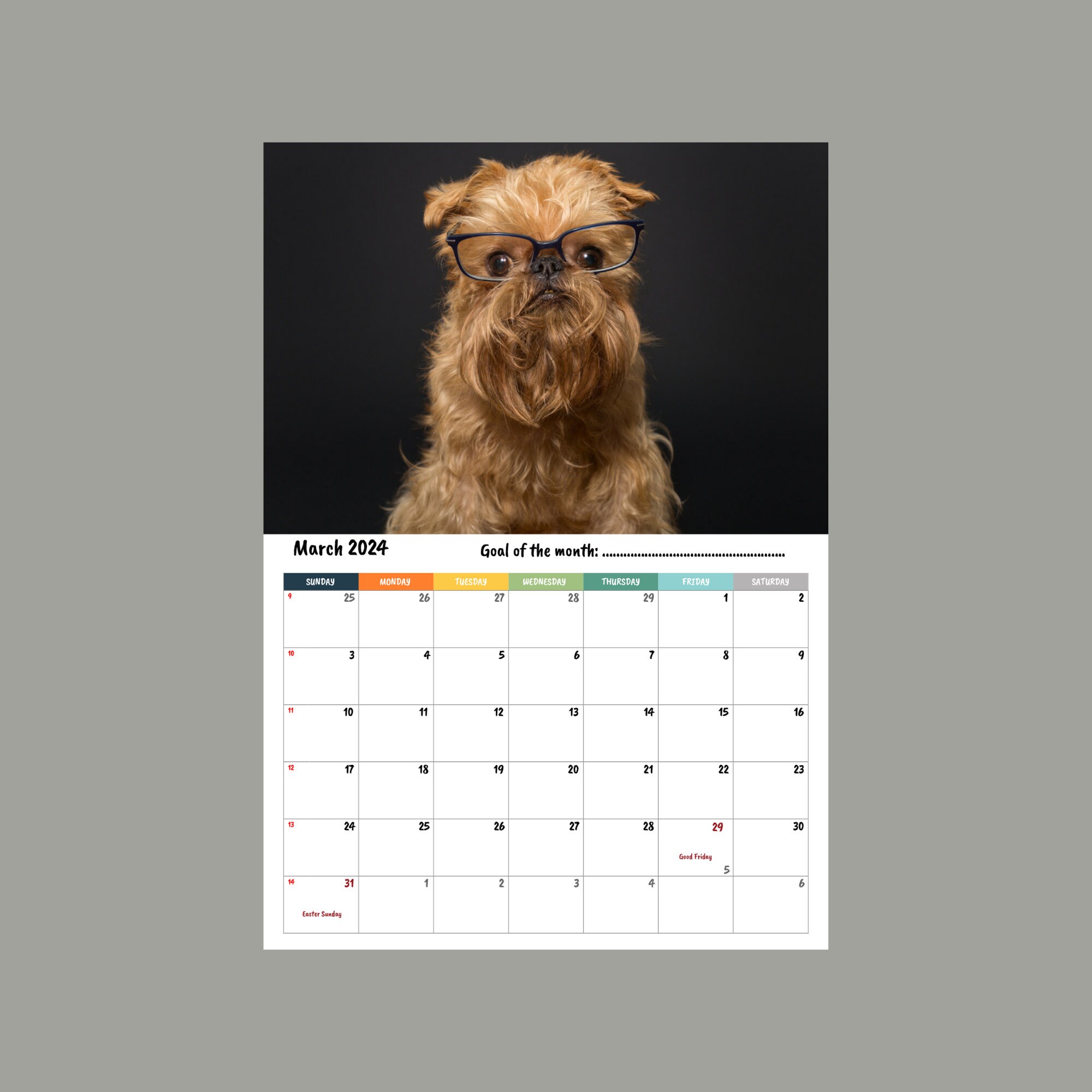 Brussels Griffon Calendar 2024 Etsy