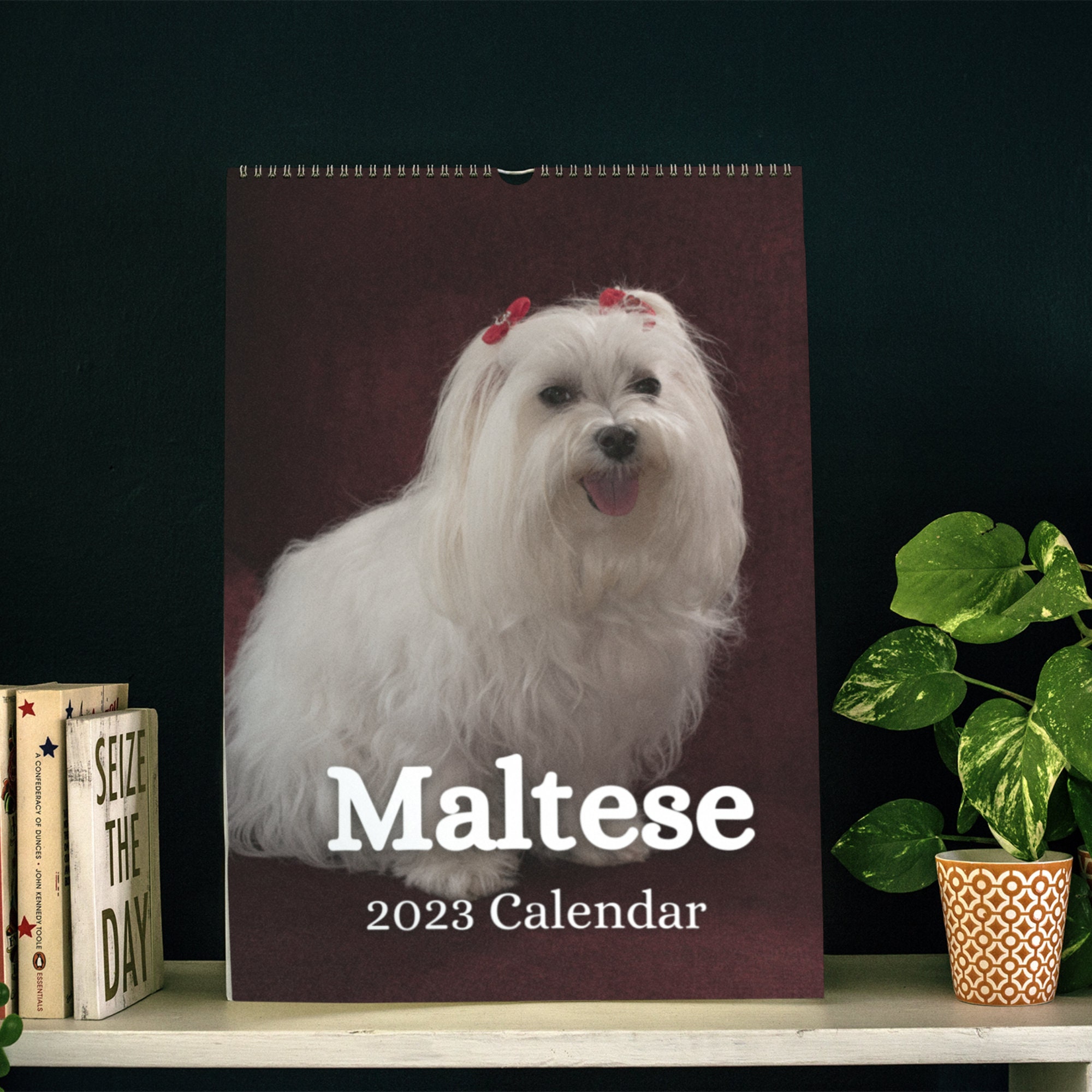 Maltese Wall Calendar 2023 - Etsy