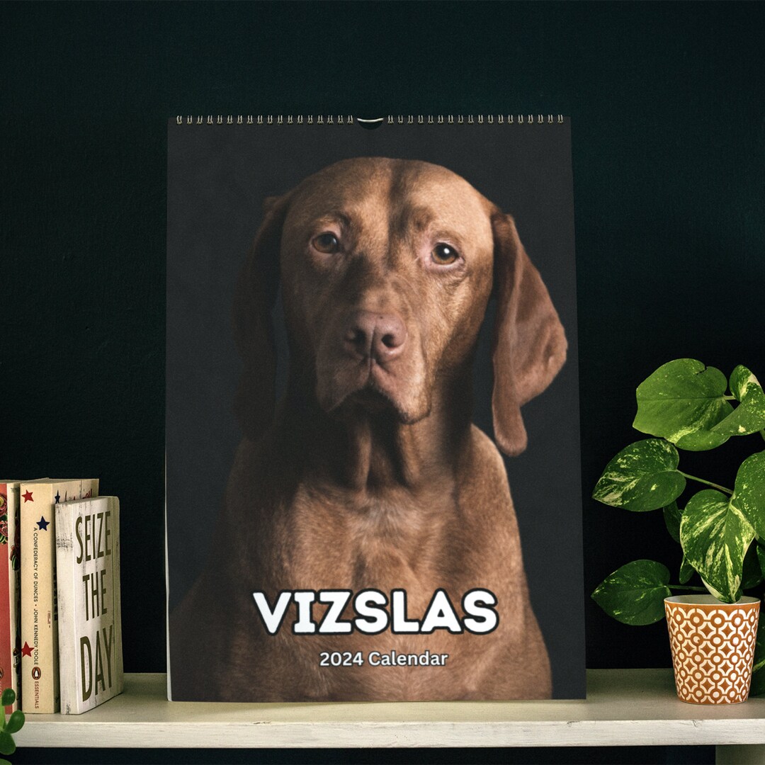 Vizslas Wall Calendar 2024 Etsy