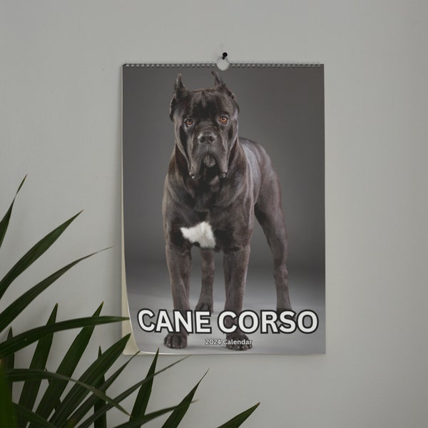 Cane Corso 2024 Calendar Etsy