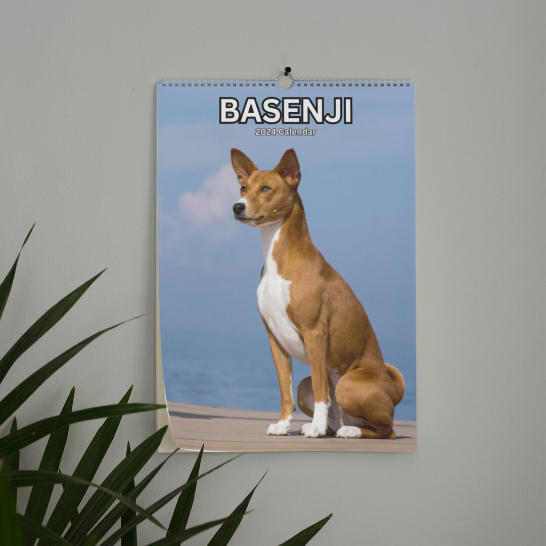 Basenji Wall Calendar 2024 Etsy Basenji Calendar 2025