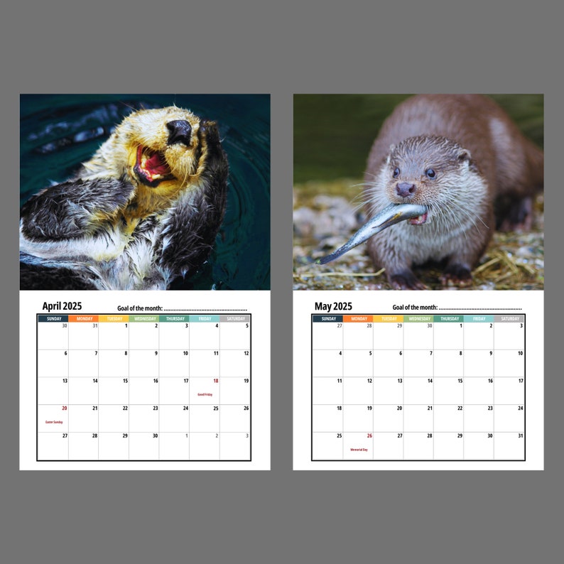 Otter Wall Calendar 2025 Etsy