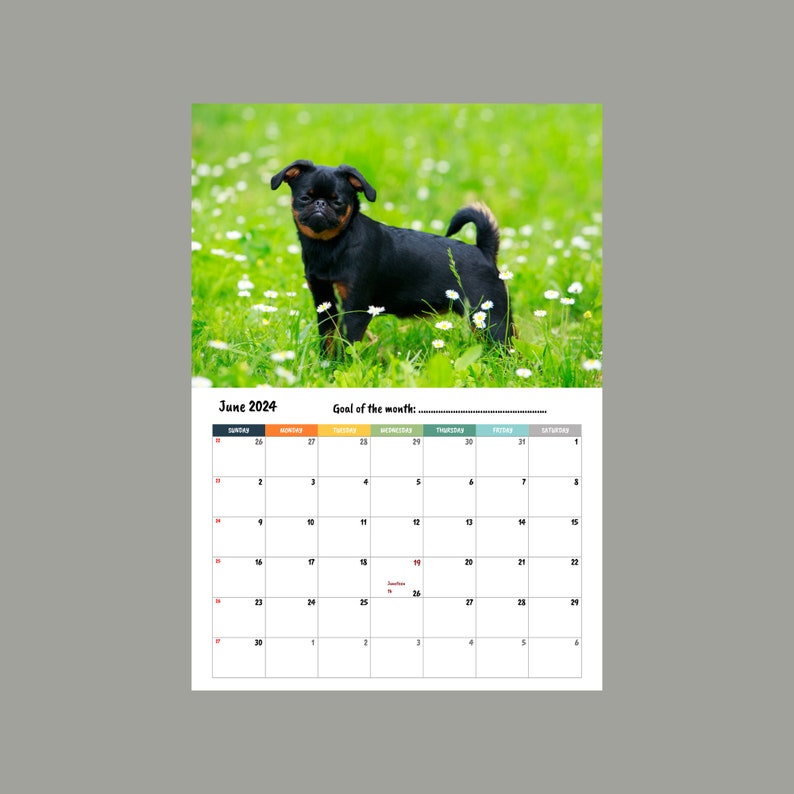 Brussels Griffon Calendar 2024 Etsy