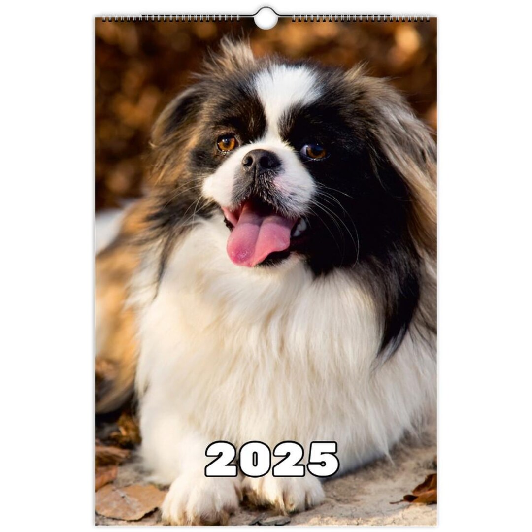 Pekingese Wall Calendar 2025 Etsy