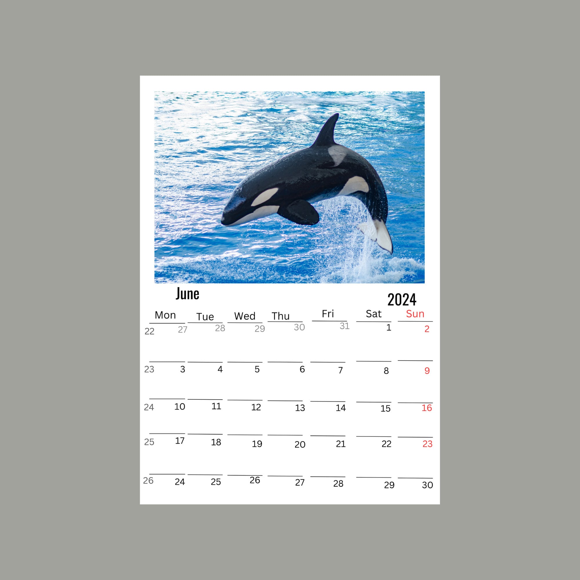Orca Wall Calendar 2024 Etsy