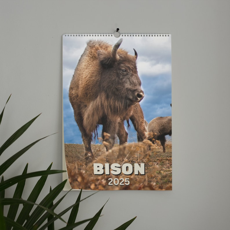 Bison Futé 2025 Calendar Esther Erminia