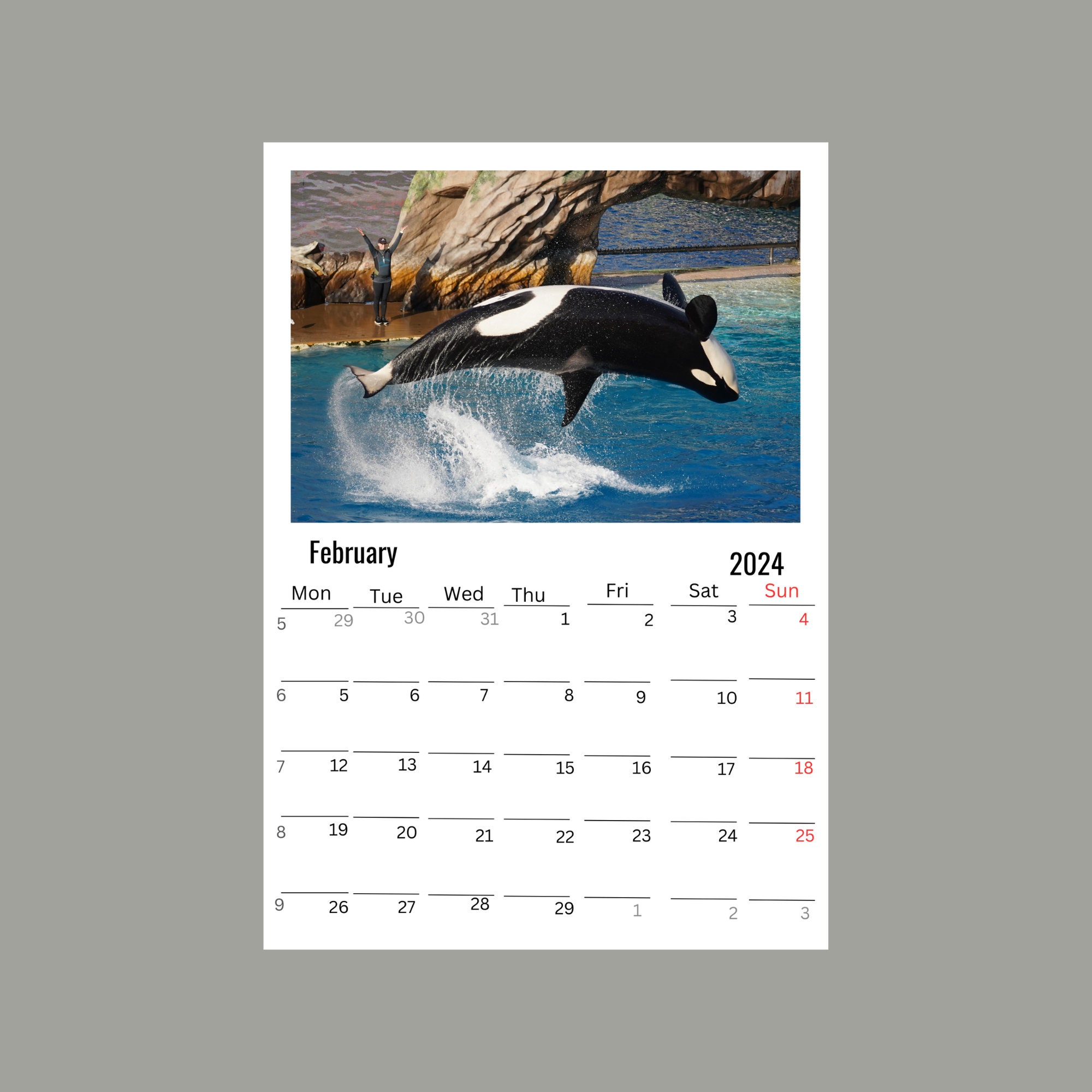 Orca Wall Calendar 2024 Etsy