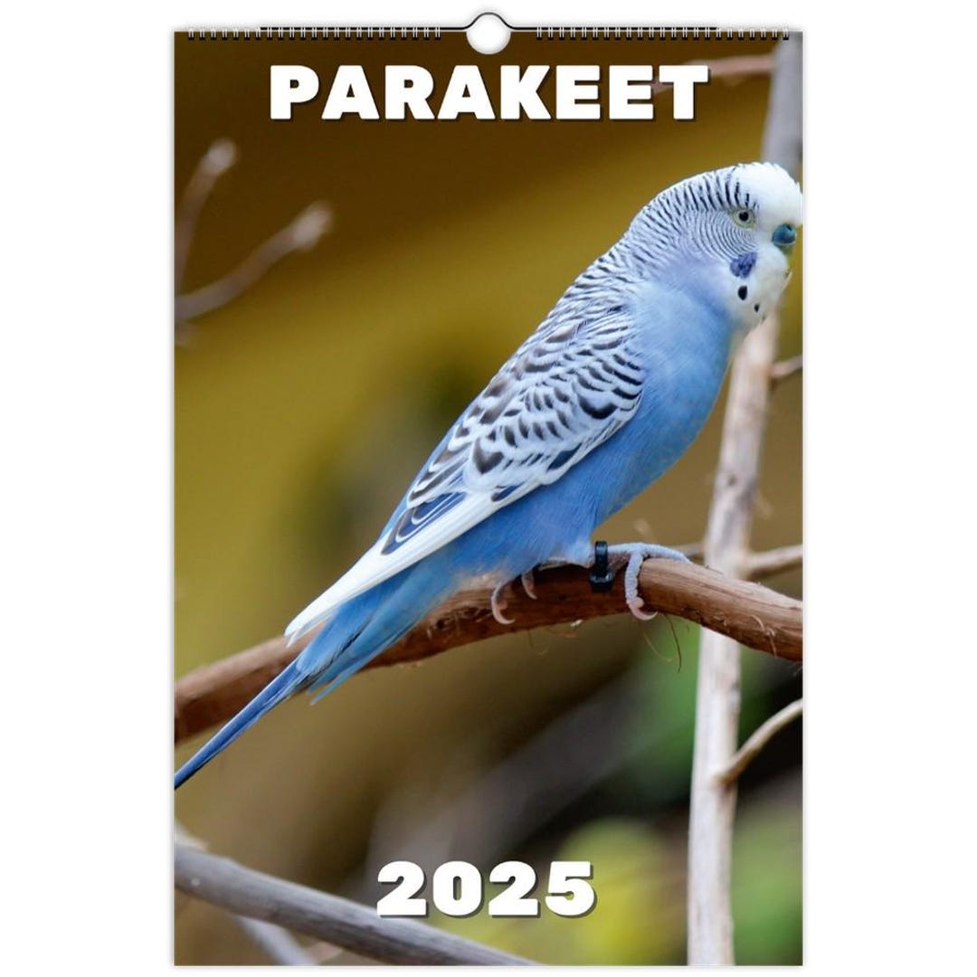 Parakeet Wall Calendar 2025 Etsy