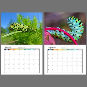 Caterpillar Wall Calendar 2025 Etsy Caterpillar Wall Calendar 2025 Etsy