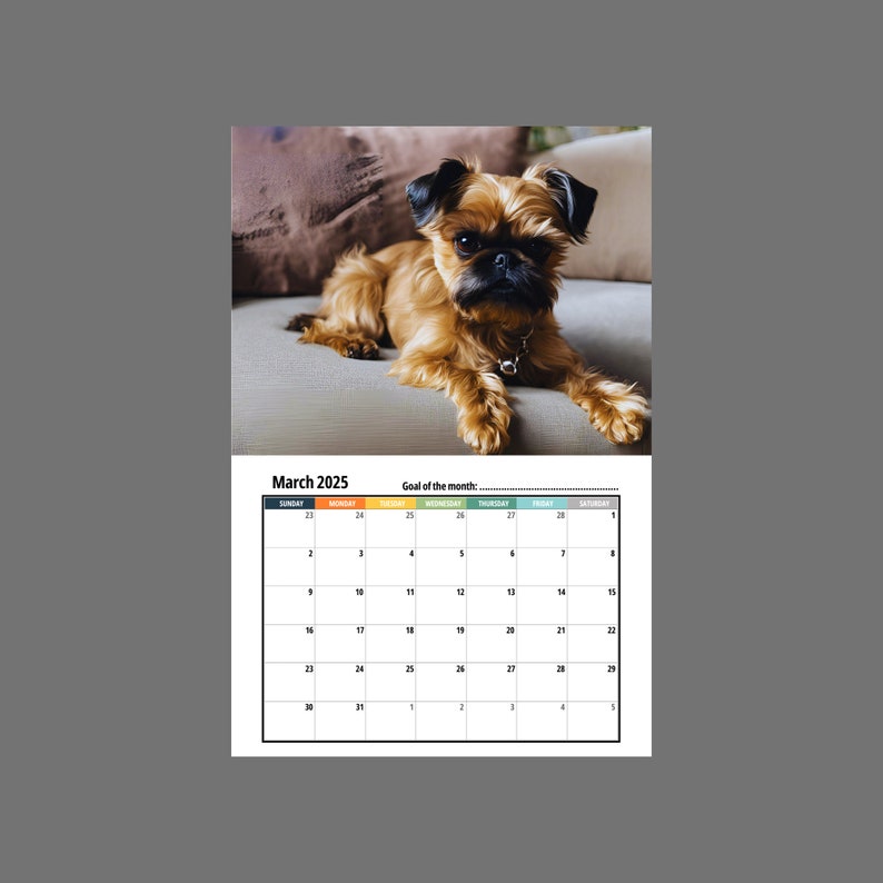 Brussels Griffon Wall Calendar 2025 Etsy