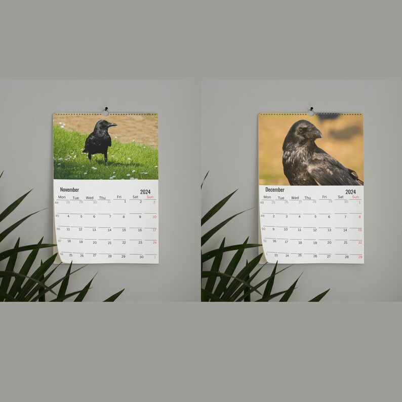 Crows Wall Calendar 2024 Etsy