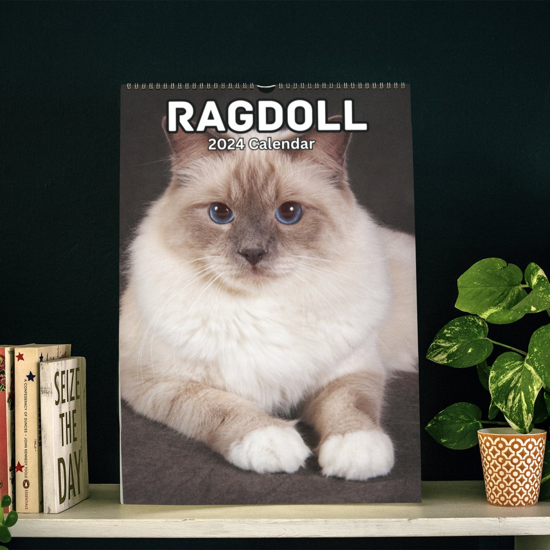 Ragdoll Wall Calendar 2025 Etsy