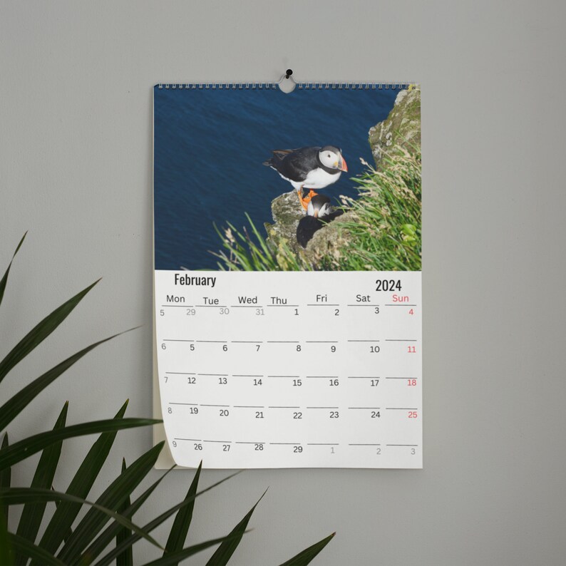 Puffin Wall Calendar 2024 Etsy